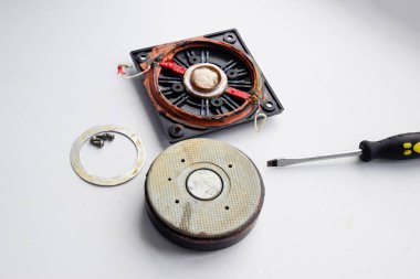 Hoparlör onarımı, parçalanmış hoparlör. Yüksek frekans hoparlörü 6GDV-7-16 beyaz arka planda. Üçlü hoparlör sisteminin bir bileşeni.