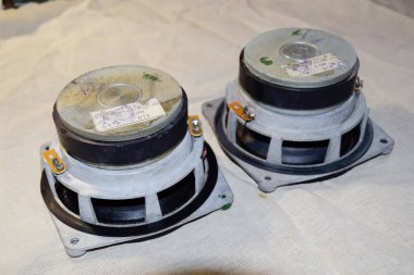 Krasnodar, Rusya - 29 Mart 2020: Orta frekans hoparlörleri 20 gds-3. Sovyet klasik akustiği, bir müzik sütunun elementleri.