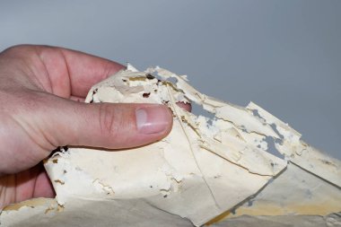 Gümüş balıklarıyla kaplanmış, adamın elindeki kayıtlarla dolu zarflar. Gümüş balığıyla yutulmuş kağıt. Vinil zarflarda gümüşbalığı kalıntıları var. lepisma