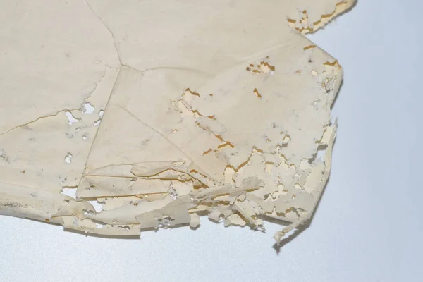 Paper Swallowed Silverfish Traces Wrecking Silverfish Vinyl Envelopes Lepisma — Stock Photo, Image