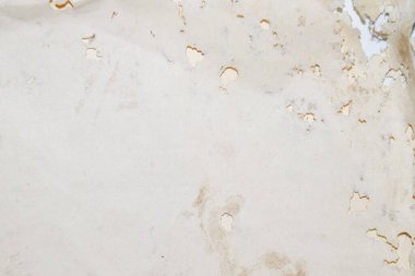 Gümüş balığıyla yutulmuş kağıt. Vinil zarflarda gümüşbalığı kalıntıları var. lepisma