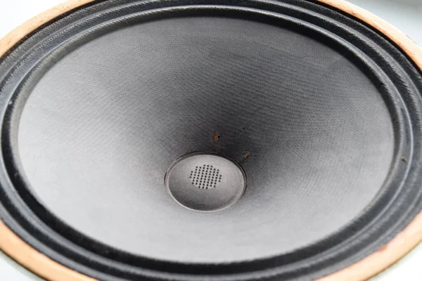 Woofer Soviético Antiguo 5Gd Acústica Vintage Sinfonía — Foto de Stock