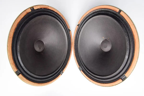 Woofer Soviético Antiguo 5Gd Acústica Vintage Sinfonía — Foto de Stock