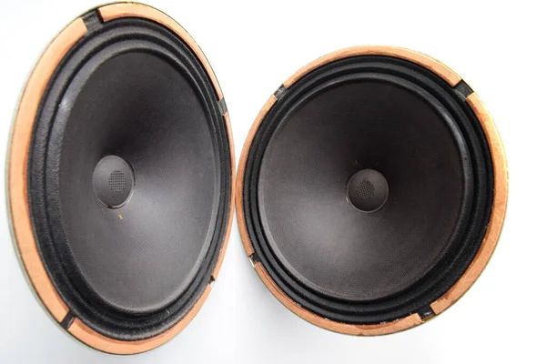 Woofer Soviético Antiguo 5Gd Acústica Vintage Sinfonía —  Fotos de Stock