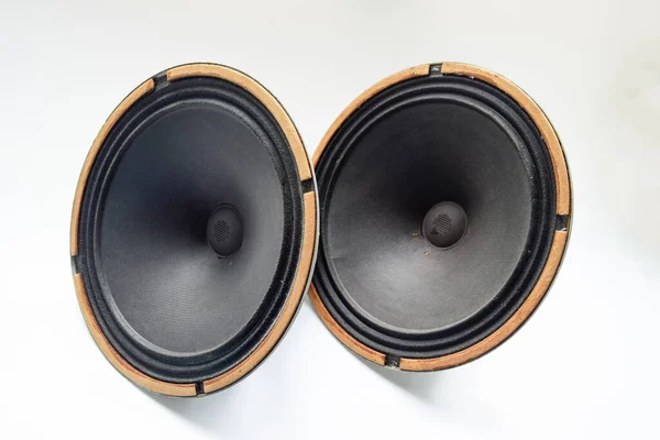 Woofer Soviético Antiguo 5Gd Acústica Vintage Sinfonía — Foto de Stock