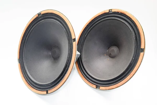 Woofer Soviético Antiguo 5Gd Acústica Vintage Sinfonía — Foto de Stock