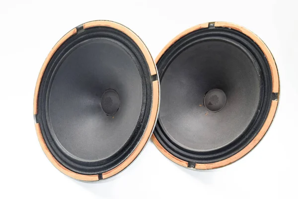 Woofer Soviético Antiguo 5Gd Acústica Vintage Sinfonía — Foto de Stock