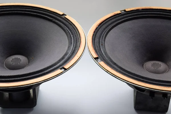 Woofer Soviético Antiguo 5Gd Acústica Vintage Sinfonía — Foto de Stock