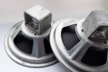 Antika Sovyet woofer 5gd-3 Klasik akustik senfonisinden.