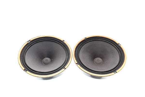 Woofer Soviético Antiguo 5Gd Acústica Vintage Sinfonía — Foto de Stock