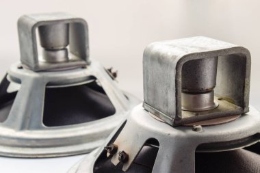 Antika Sovyet woofer 5gd-3 Klasik akustik senfonisinden.