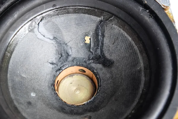 Orta frekanslı hoparlörler 15gd-11a Sovyet klasik akustiği, bir müzik sütunu elementleri..