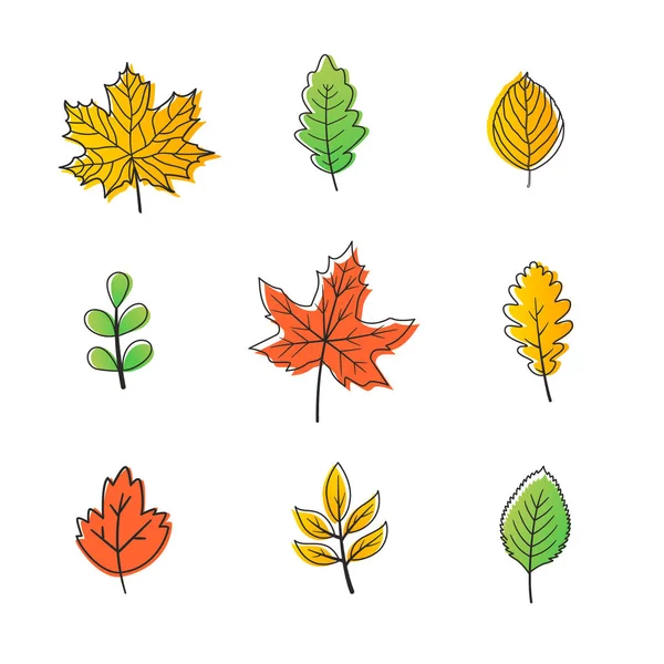 Leaves of autumn. Thanksgiving Day Background. — Stock Vector