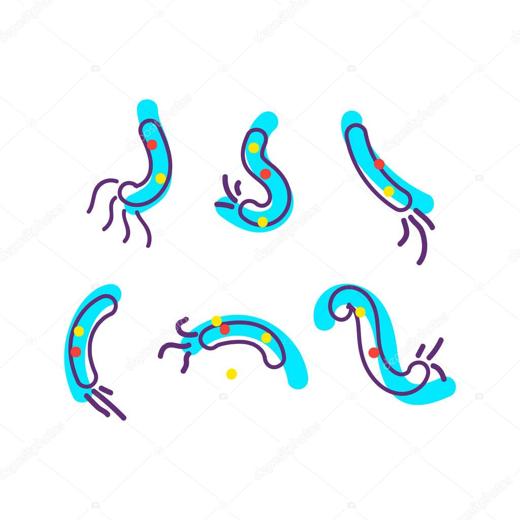 Bacterial microorganism. Micro-organisms, bacteria, viruses, fungi, protozoa under the rejuvenating glass,magnifier.Vector flat cartoon illustration icon