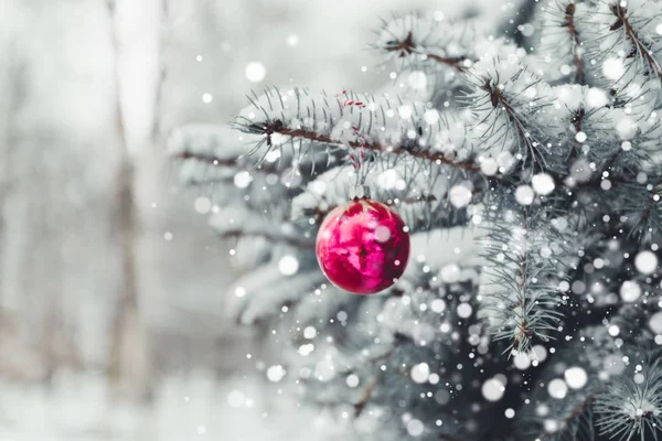 Mutlu Noeller ve mutlu bayramlar tebrik kartı ya da pankart, süslü kırmızı oyuncak top Noel ağacı. Yeni yıl. Noel. Kış tatili Xmas teması. Açık havada, doğal kar..