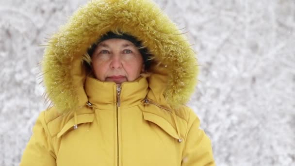Chute de neige. Heureuse femme adulte en vêtements chauds et lumineux sourit et regarde la caméra — Video