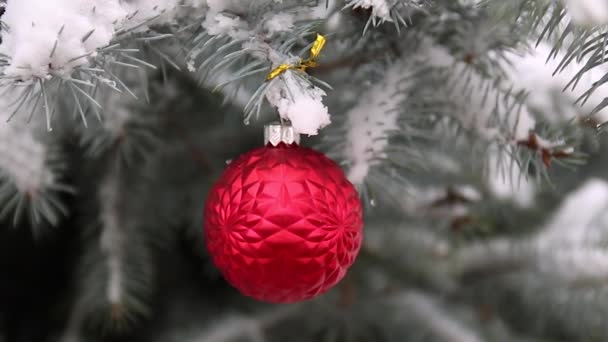 赤いおもちゃのボールとコピースペースで柔らかい焦点を当てた弓で飾られたお祭りのクリスマスツリー. — ストック動画