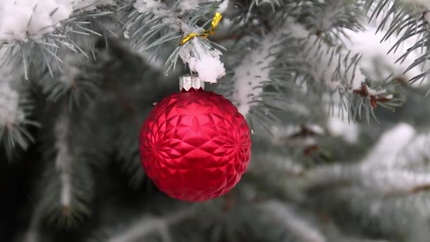 Ünnepi karácsonyfa díszített piros játékok labdák és íjak lágy fókusz másolási hely. — Stock videók