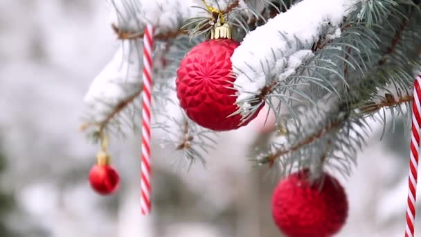 Árvore de Natal festiva decorada com bolas de brinquedos vermelhos e neve com foco suave — Vídeo de Stock