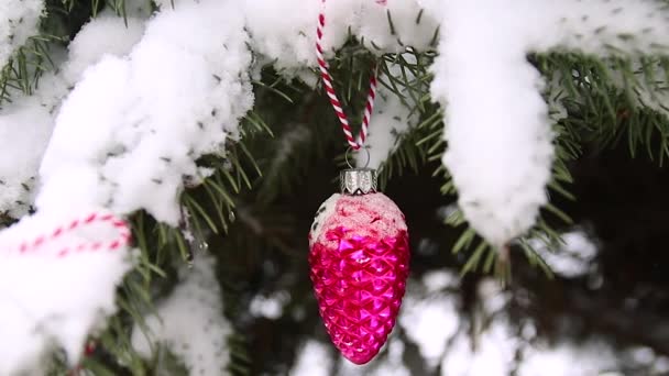 Праздничная елка украшена красными игрушками шарами и луками с мягким фокусом с копировальным пространством . — стоковое видео