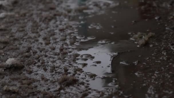 Vuile plas met natte sneeuw in het winterseizoen. Slecht weer en koud. — Stockvideo