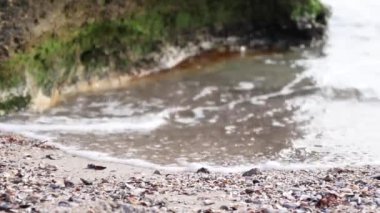 Deniz dalgaları kıyıya vurdu. Yeşil yosun bitkisiyle kaplı büyük bir zencefil taşı.