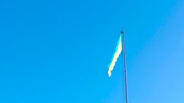 Žlutá a modrá barva vlajky Ukrajiny vlnící se ve větru na pozadí jasně modré oblohy za slunečného dne. — Stock video