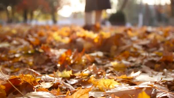 Female legs in sports sneakers walking on autumn leaves — Stock Video