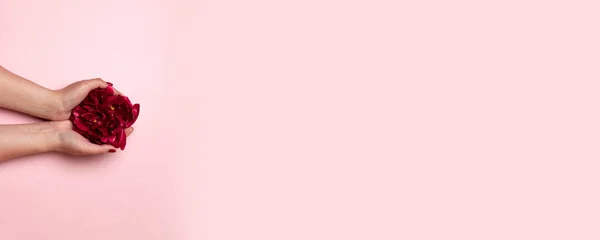 Mínima composición creativa de manos femeninas con hermosa manicura sostiene una flor de peonía de color rojo oscuro con copyspace sobre fondo rosa, vista superior, puesta plana. Tarjeta de felicitación Feliz Día de las Madres — Foto de Stock