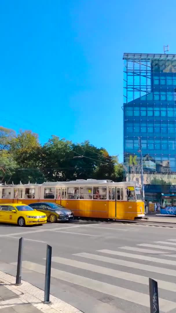 Yellow tram transport rides along a road in Budapest. Sunny day, blue sky. Vertical video — Stock video