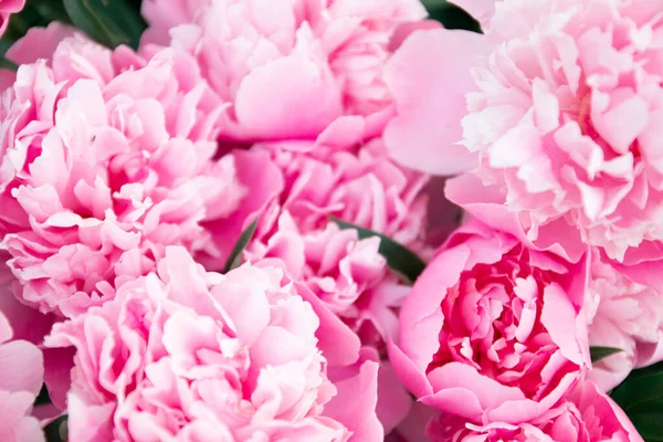 休日の壁紙の背景.繊細な花の花びら。春 — ストック写真