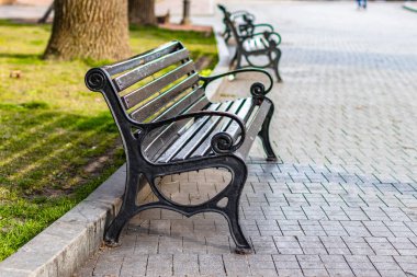 Güneşli bir günde parktaki metal parmaklıklı ahşap bankta. İşlenmiş demir bacaklı şehir manzarası bankı.
