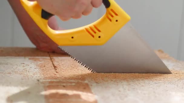 Primer plano del trabajador utiliza una sierra de mano y sierra un escudo de madera en casa. Concepto de construcción — Vídeos de Stock