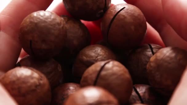 Woman hand holds macadamia nut on a blurry background — Stock Video