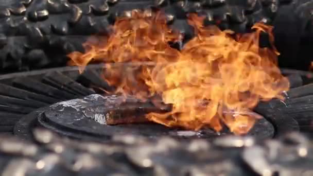 Eternal burning fire memory memorial, flame of fire — Stock Video