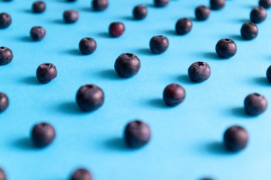 Mavi arka planda taze olgun yaban mersini deseni.