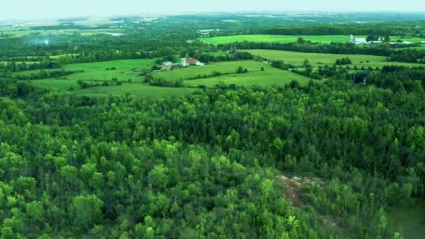 Tiro Aéreo Uma Bela Floresta Durante Dia Cheltenham Badlands Incrível — Vídeo de Stock