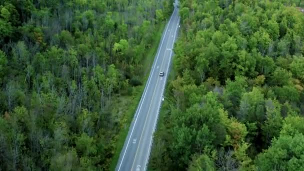 Aerial Viaje Carro Topo Floresta Cheltenham Badlands Canadá Estrada Árvores — Vídeo de Stock