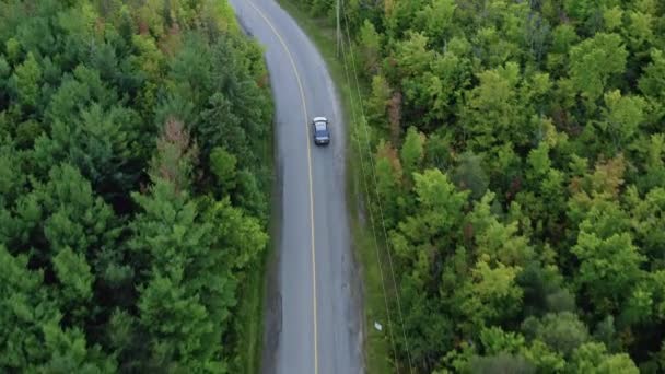 Luchtfoto Een Auto Het Bos Prachtige Wildernis Wilde Plek Reizen — Stockvideo