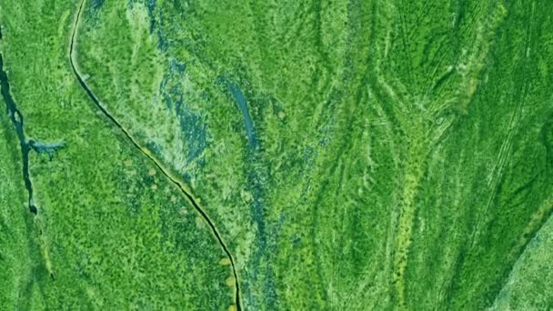 Vue aérienne : Superbe prise de vue du delta vert. Vue aérienne de l'estuaire de la rivière ou du delta depuis le sommet .