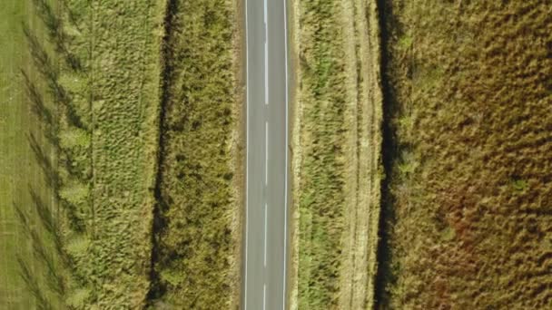 Vista Aérea Uma Estrada Vazia Natureza Lugar Selvagem Rua Vazia — Vídeo de Stock