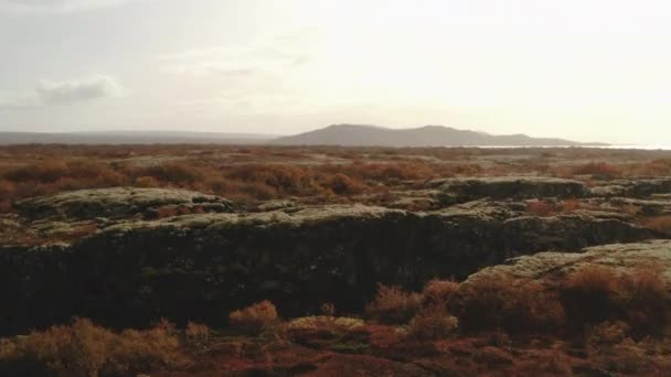 Amerika Nın Çorak Topraklarında Uçuyor Güzel Bir Çöl — Stok video