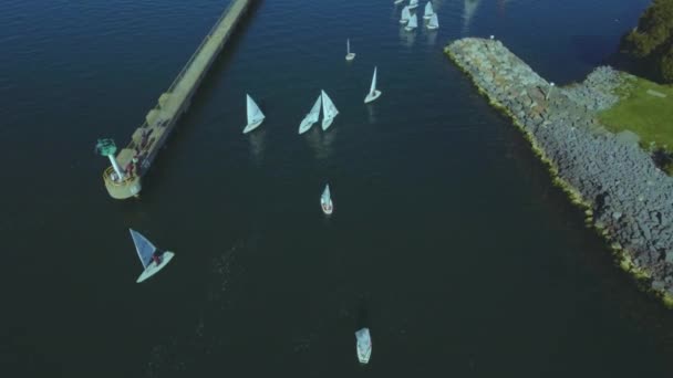 Beautiful Aerial View Boats Leaving Port Aerial Top View Bird — Stock Video