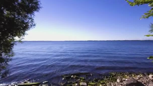 木々の間を飛んで 結晶水を発見し 海の近くを飛んで 透明な海 木々の間の穏やかな海のドローンビュー 地中海の水の上を飛ぶ — ストック動画