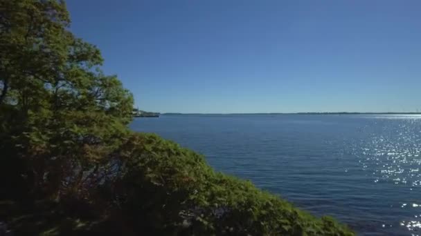Deniz Kıyısındaki Yeşil Ağaçların Drone Görüntüsü Dalgalanan Okyanus Suyunun Üzerinde — Stok video