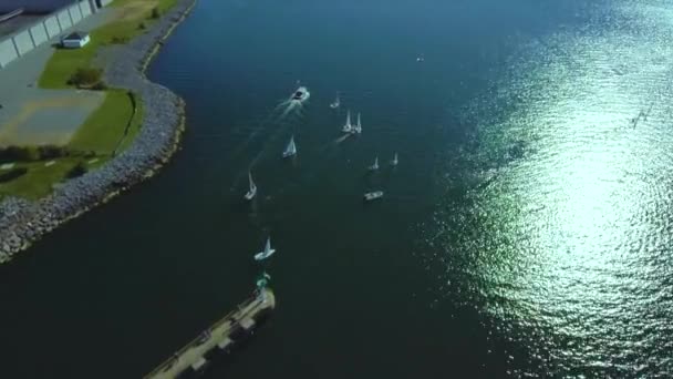 Dron Pohled Lodě Plachtění Letecký Pohled Lidi Rybaření Lodí Dron — Stock video