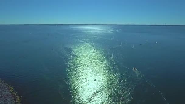 広い空の景色 セーリングボートでいっぱいの海 複数のボートセーリング — ストック動画