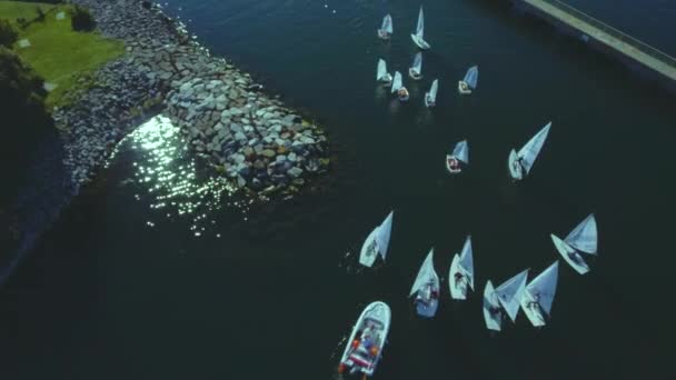 Drone View Multiple Boats Leaving Port Preparing Sailing Contest Fall — Stock Video