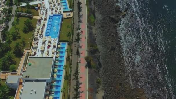 Üst Hava Manzarası Adanın Deniz Kıyısında Palmiyeler Dalgalar Suyun Yanında — Stok video