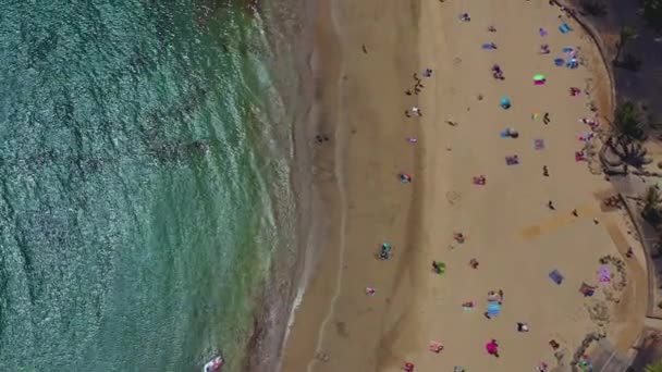 Vista Aérea Playa Gente Sombrillas Arena Olas Marinas Drone Vista — Vídeos de Stock